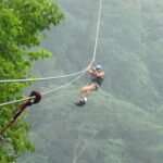 Brief overview of canopy tours