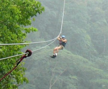 Brief overview of canopy tours