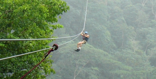 Brief overview of canopy tours