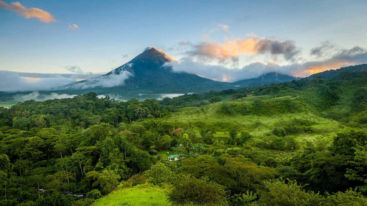 Costa Rica's Rainforests