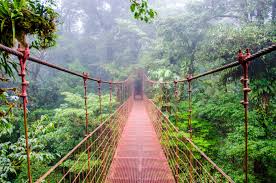 Hanging Bridges in Costa Rica