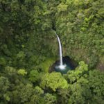 Protecting Costa Rica’s Rainforests with Eco-Friendly Practices