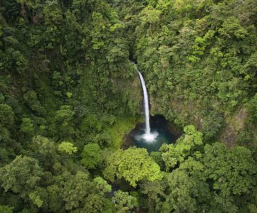 Protecting Costa Rica’s Rainforests with Eco-Friendly Practices