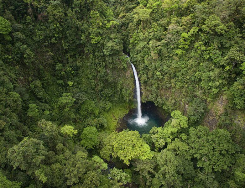 Protecting Costa Rica’s Rainforests with Eco-Friendly Practices