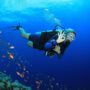 Discover the Wonders of Scuba Diving and Snorkeling in Costa Rica Scuba Diving and Snorkeling in Costa Rica
